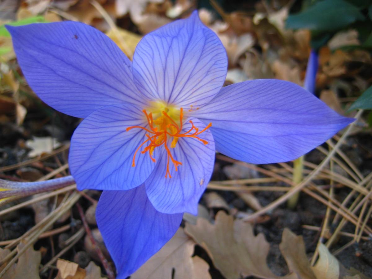 Yoga- How to Prepare/What to&nbsp;Expect