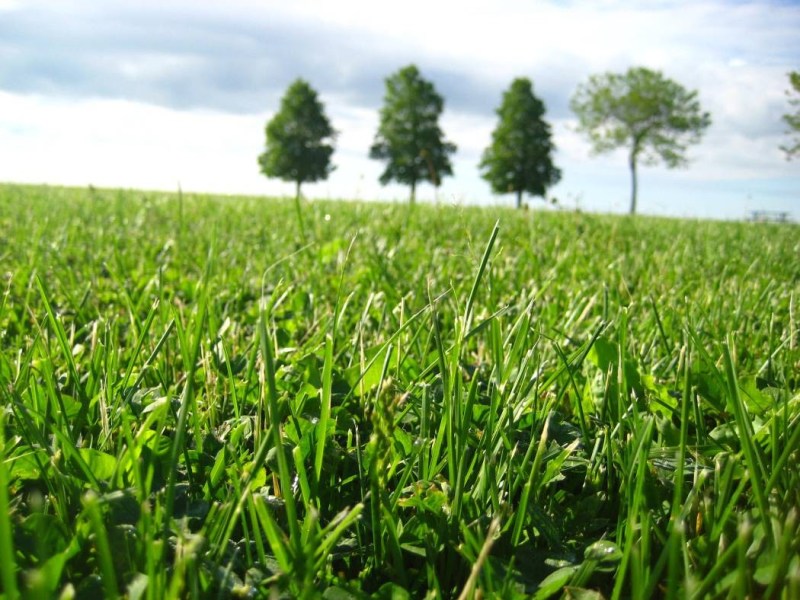 Yoga in a Park near&nbsp;You
